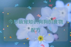 今日萌宠知识狗狗的食物配方