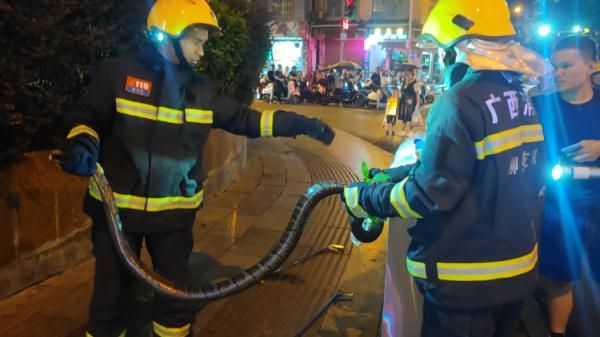 警惕！有蛇出没！专家：这类蛇不能随意捕杀