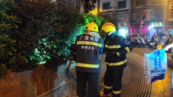 警惕！有蛇出没！专家：这类蛇不能随意捕杀