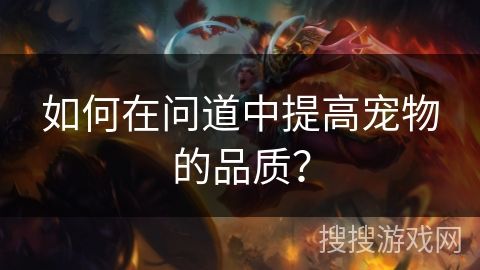 如何在问道中提高宠物的品质？