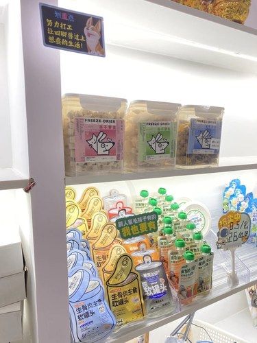哇哇哇呀…济南这家宠物店也太好了吧！