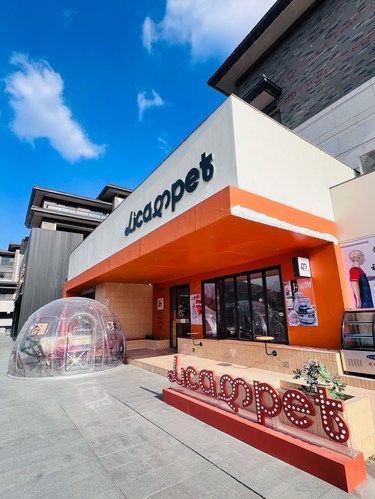 超有氛围感的宠物店