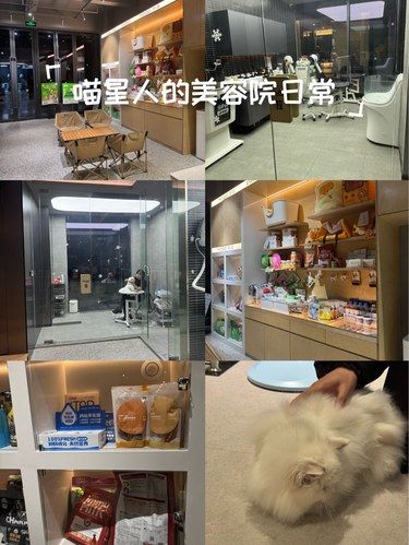 喵星人的美容院日常