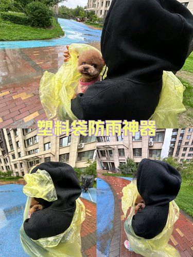 塑料袋防雨神器