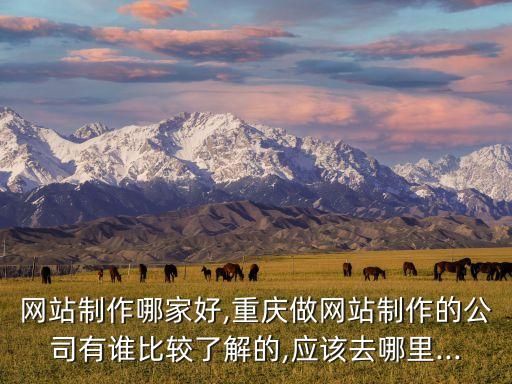 网站制作哪家好,重庆做网站制作的公司有谁比较了解的,应该去哪里...