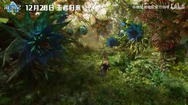《猫咪品种大全及图片》