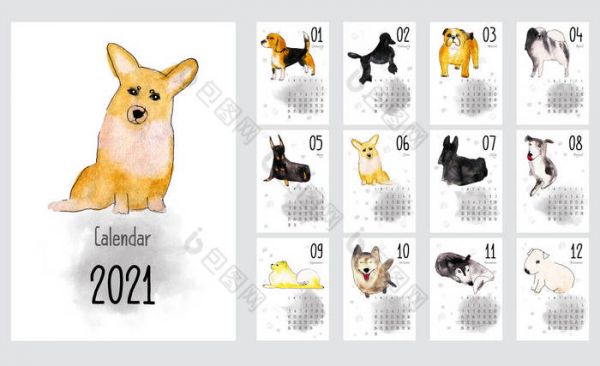 2021年每月创意日历与狗品种。水彩画。因白人背景而被隔离