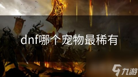 dnf哪个宠物最稀有