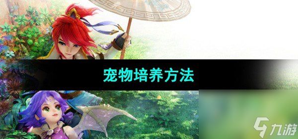 《梦幻西游》宠物培养方法