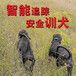 无线GPS猎犬项圈追踪定位器