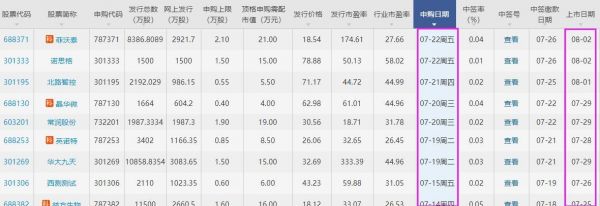 源飞宠物上市时间.jpg