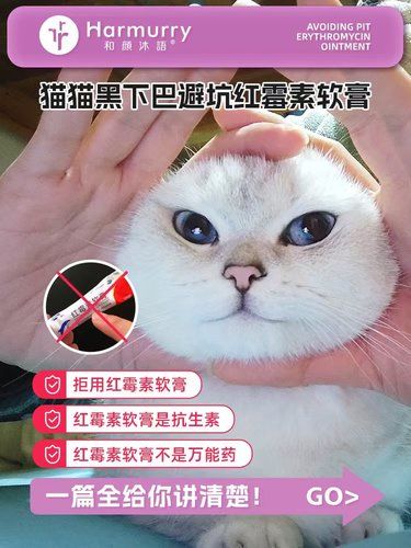 宠物美容小贴士