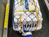 长岛宠物狗托运 专业宠物托运 上门接宠物 安全便捷
