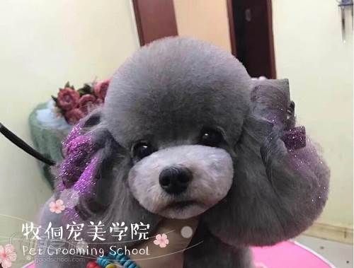 学员作品一