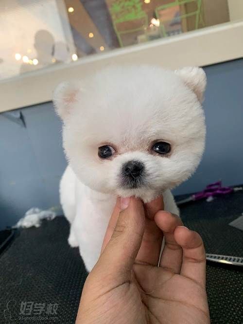 学员作品二