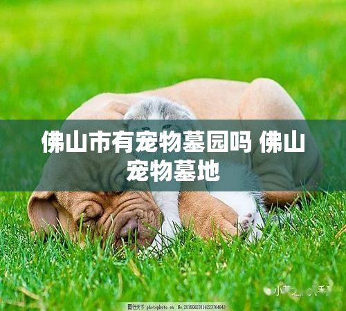 佛山市有宠物墓园吗 佛山宠物墓地