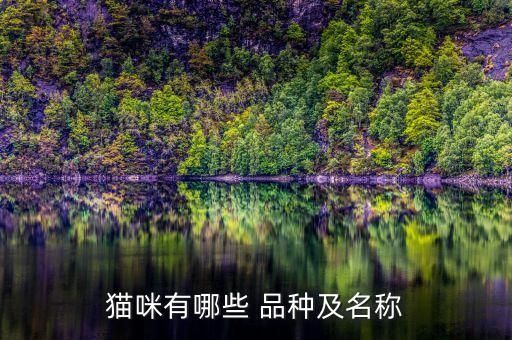 猫咪有哪些 品种及名称