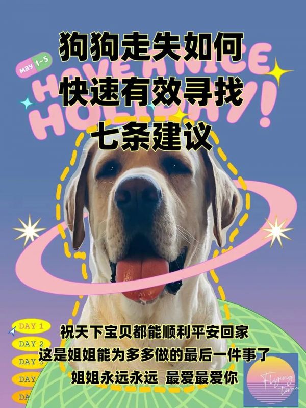 遇到丢失的狗如何处理方法