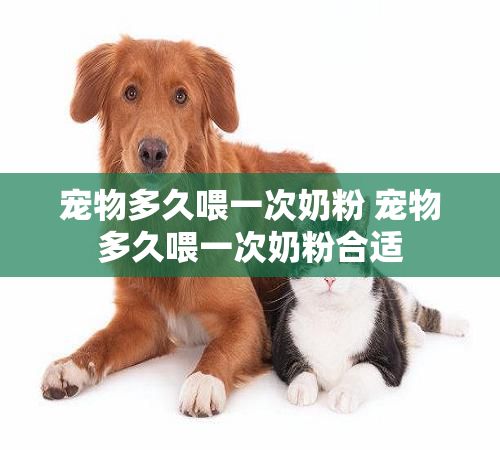 宠物多久喂一次奶粉 宠物多久喂一次奶粉合适