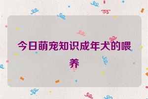 今日萌宠知识成年犬的喂养