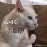 真的能吃
