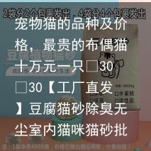 宠物猫的品种及价格，最贵的布偶猫十万元一只
