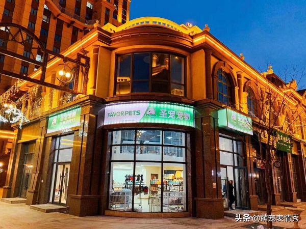 开宠物店需要考证书吗_开宠物店需要考证吗_开宠物店需要什么知识
