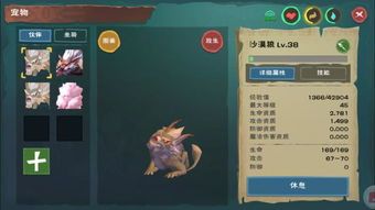 恶魔宠物店：探秘魔法宠物的神秘世界？最受欢迎的魔法宠物排行榜