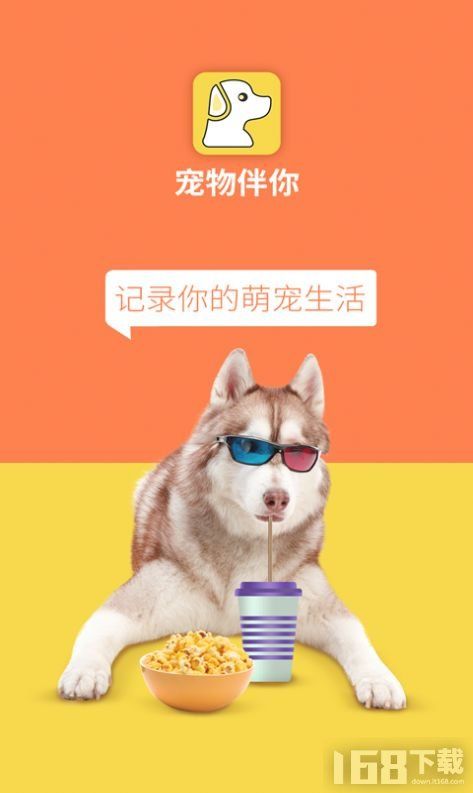 宠物伴你