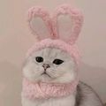 https://p0.meituan.net/userheadpicbackend/ed7400487e98eeece3572bd6b891cf23457767.jpg%40120w_120h_1e_1c_1l%7Cwatermark%3D0