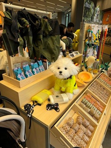 没有养宠物也在这里逛的挪不开腿[惊叹][惊叹]