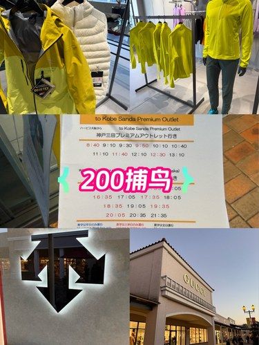 200捕鸟咯