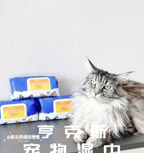 宠物上学竟比孩子还贵？！（宠物训导师赚智商税的真相揭秘）