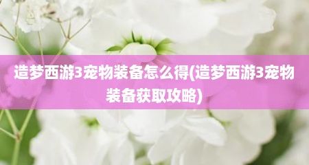 造梦西游3宠物装备怎么得(造梦西游3宠物装备获取攻略)