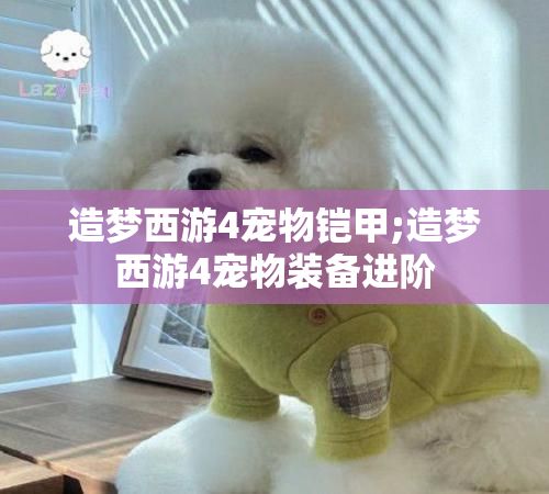 造梦西游4宠物铠甲;造梦西游4宠物装备进阶