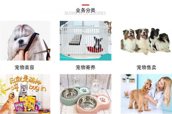 爱尚宠物店