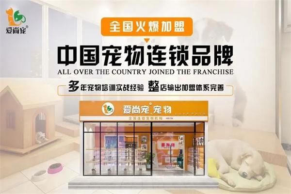 爱尚宠物店