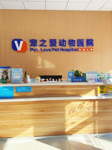 青岛！超级温暖的宠物医院！