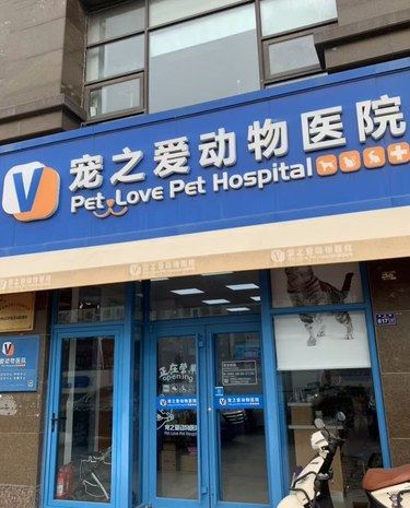 宠物医院只有放心才能安心