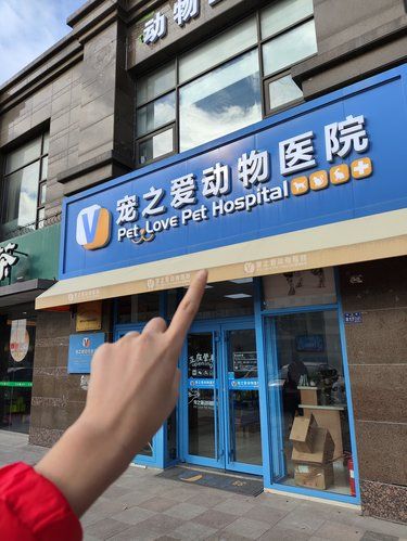 山东百佳宠物医院确实靠谱