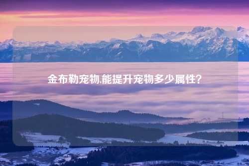 金布勒宠物,能提升宠物多少属性？