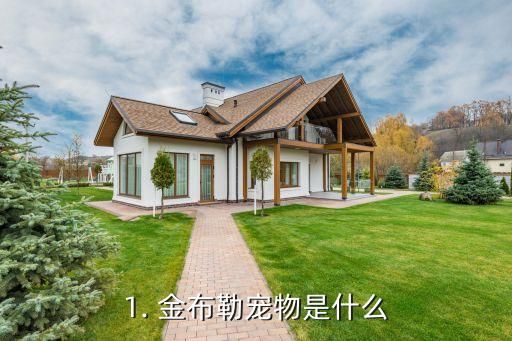 1. 金布勒宠物是什么