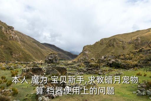 魔力宝贝算档器