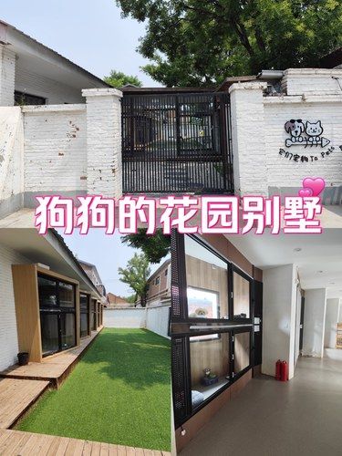 狗狗的小天地，在东坝啊！