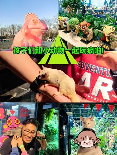 北京遛娃好去处｜孩子在这里玩疯了不想回家！