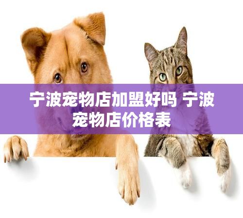 宁波宠物店加盟好吗 宁波宠物店价格表
