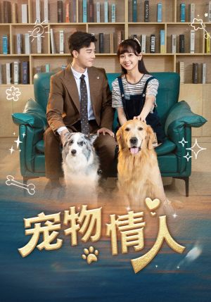 宠物情人（42集）超甜短剧抢先看