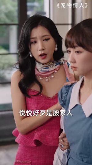 宠物情人（42集）短剧完整版免费