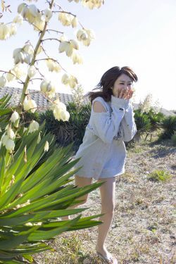 青柠影院bd