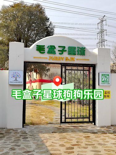 毛盒子星球狗狗乐园～
